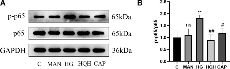 Figure 12.