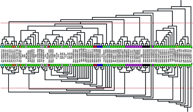 FIG. 2.—