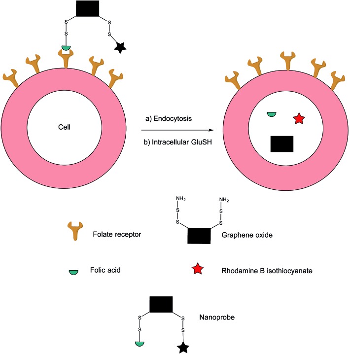 Fig. 17