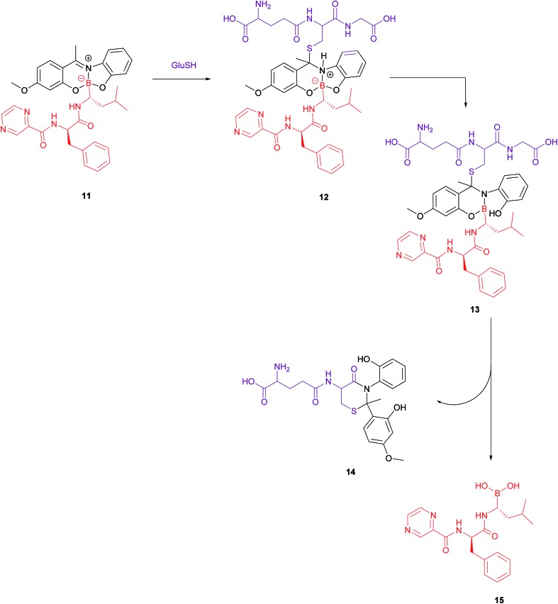 Fig. 9