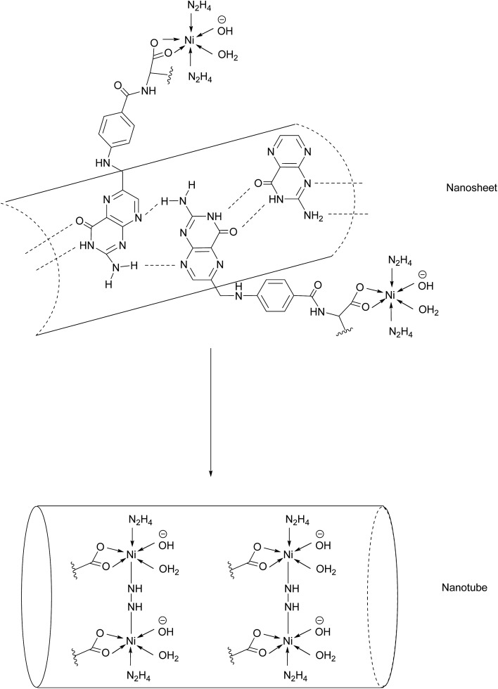 Fig. 14