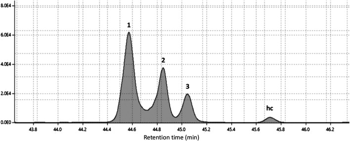 FIGURE 2