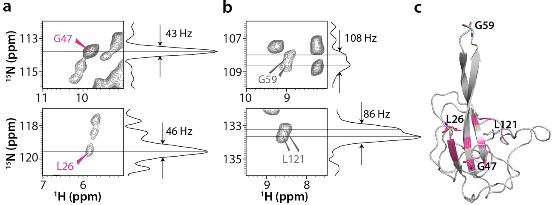 Figure 5 |