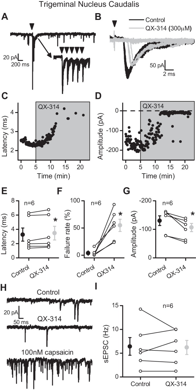 Fig. 9.