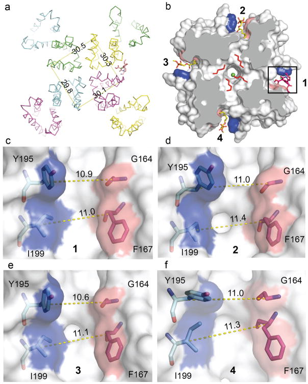 Extended Data Figure 8