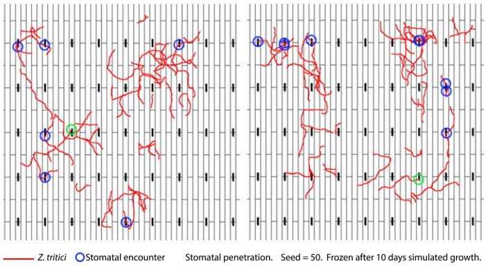 Supplementary Fig. S5