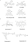 FIGURE 13