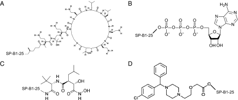 Fig. 3.