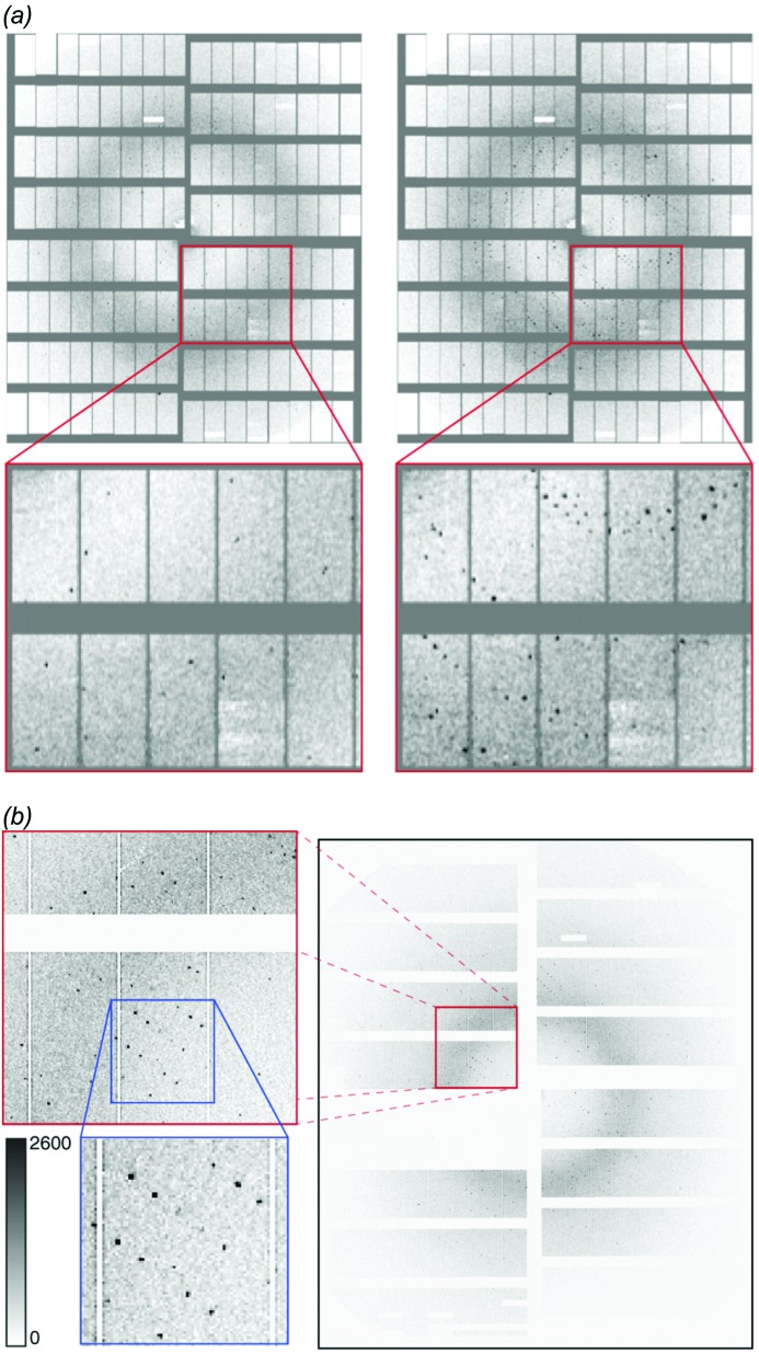 Figure 10