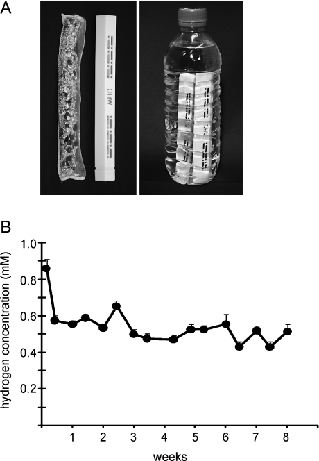 Fig. 1