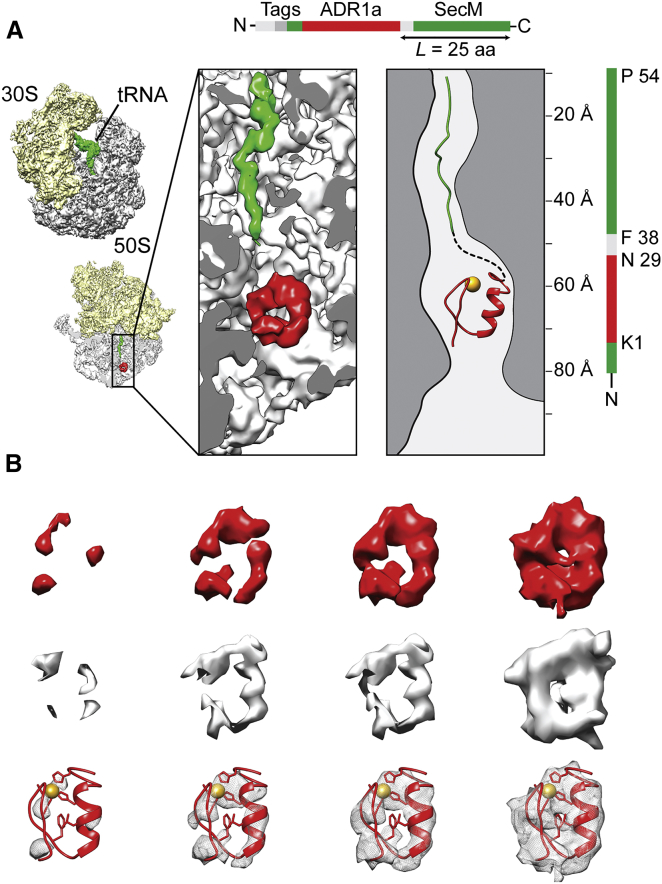 Figure 4