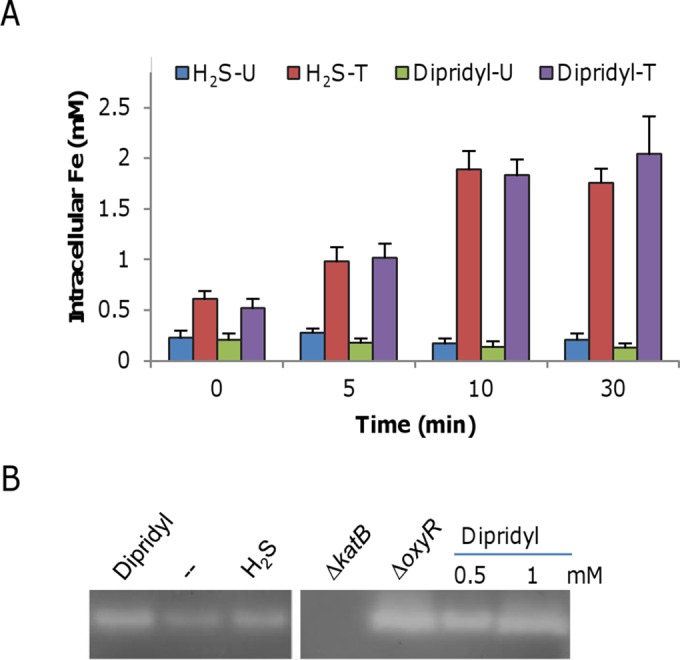 FIG 6