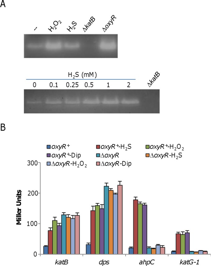 FIG 5