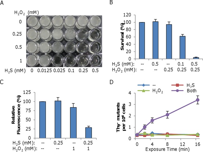 FIG 3