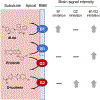 Figure 5: