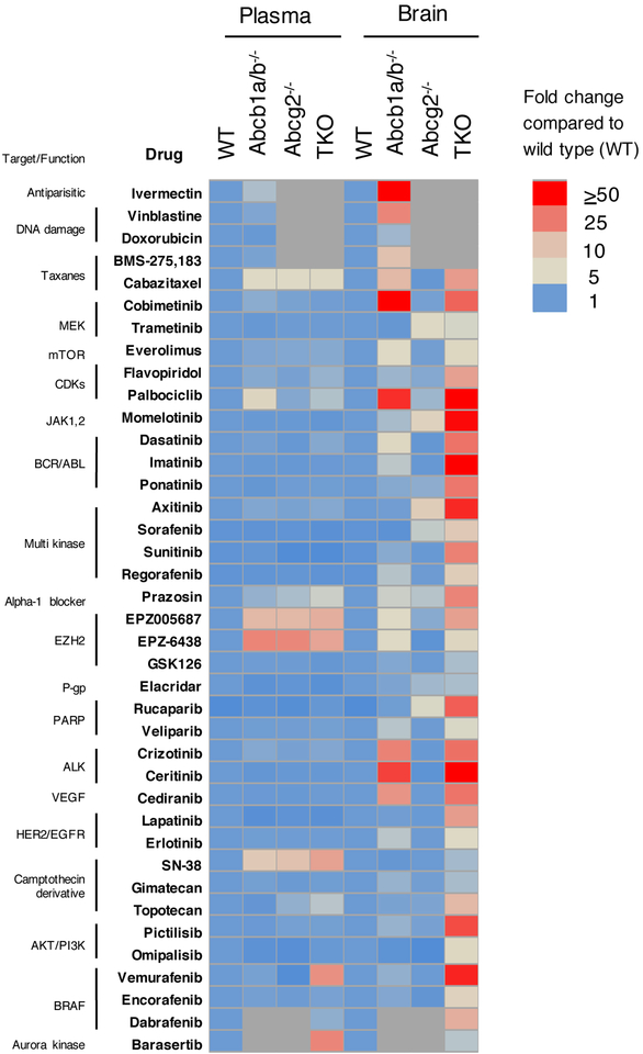 Figure 4: