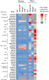 Figure 4: