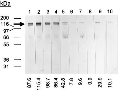 FIG. 5