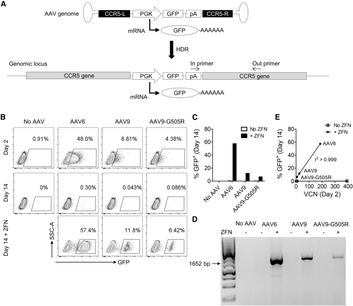 Figure 2