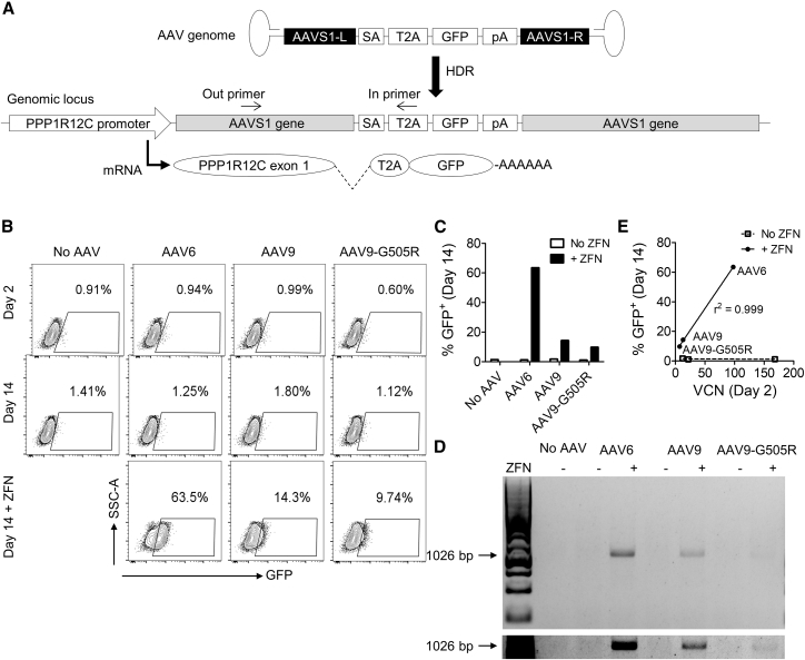 Figure 3