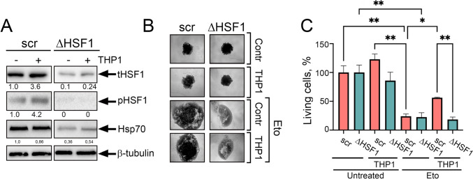 Fig. 6