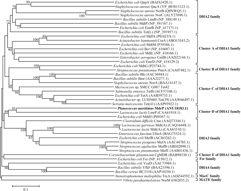 FIGURE 6