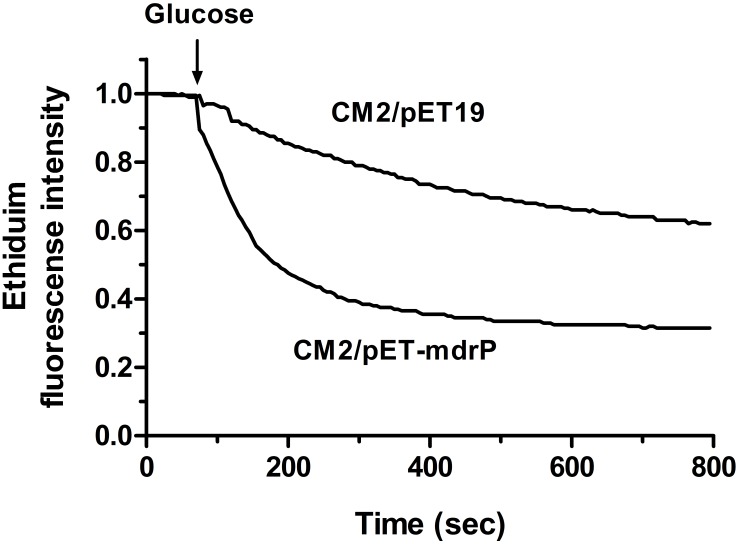 FIGURE 7