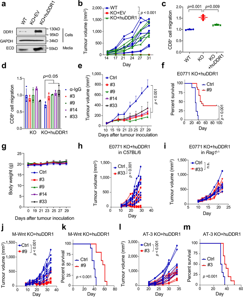 Extended Data Fig. 7 |