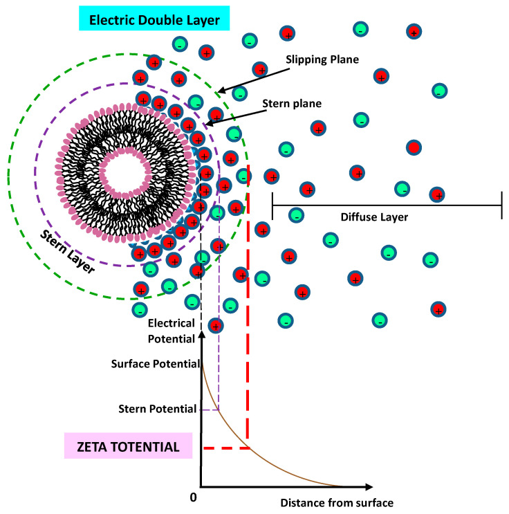 Figure 19