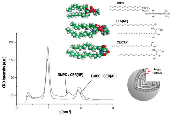 Figure 17