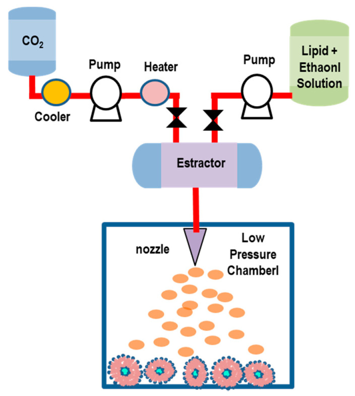 Figure 11