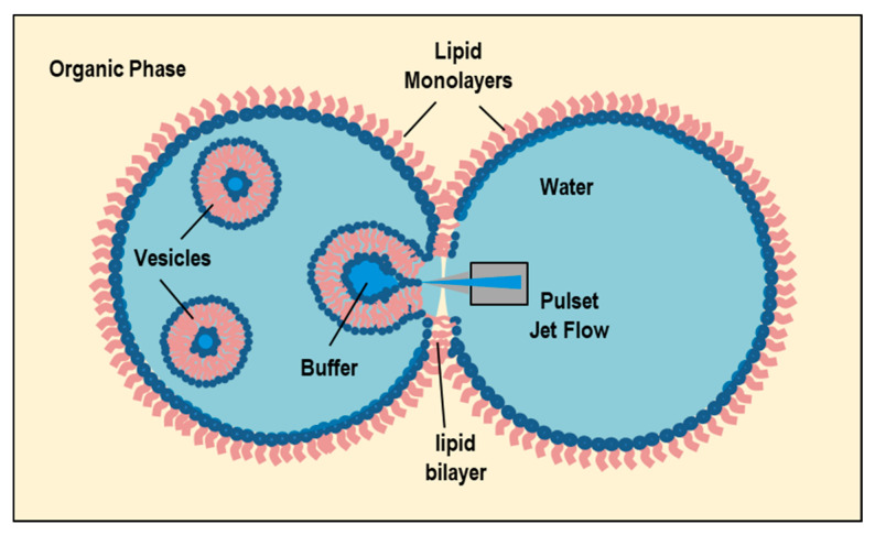 Figure 15