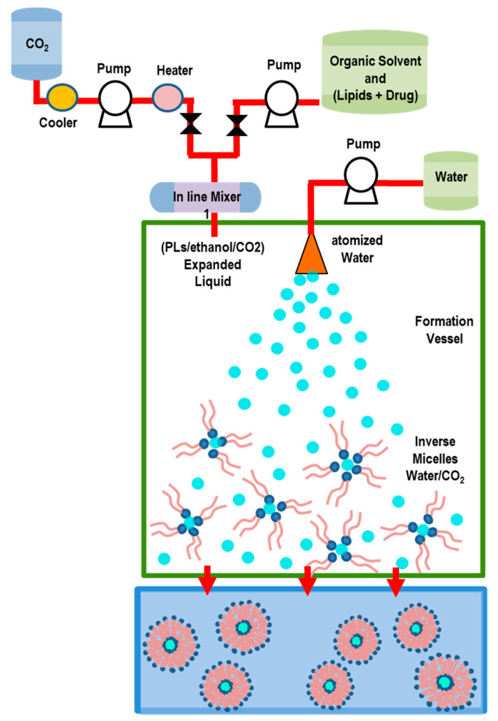 Figure 12