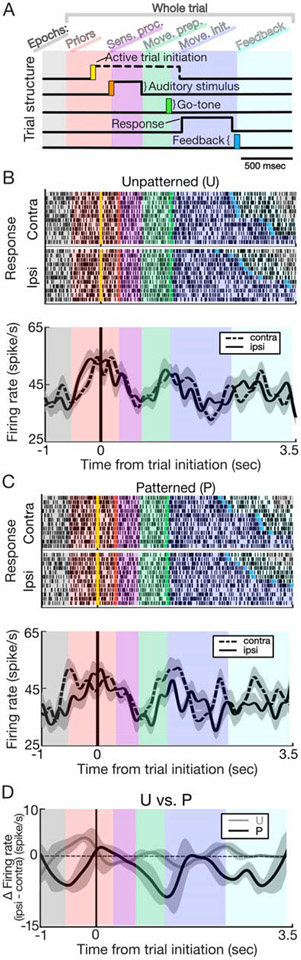 Figure 3: