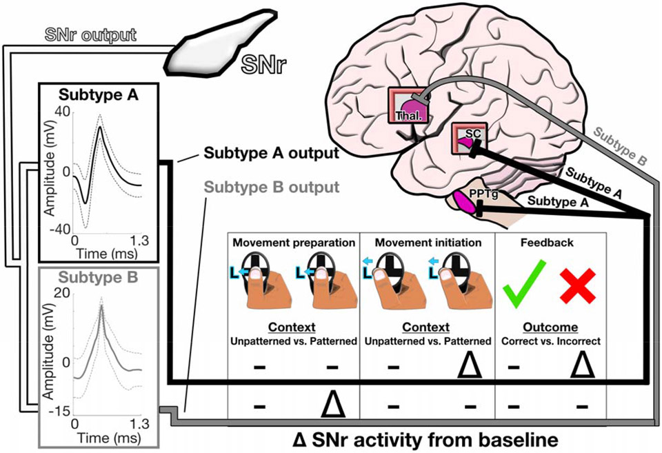 Figure 6: