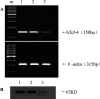 Fig. 1A, B