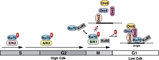 Figure 7.