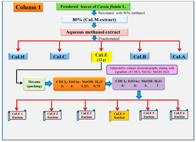 Scheme 2