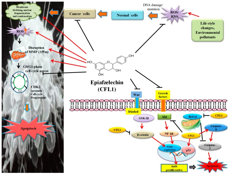 Figure 18