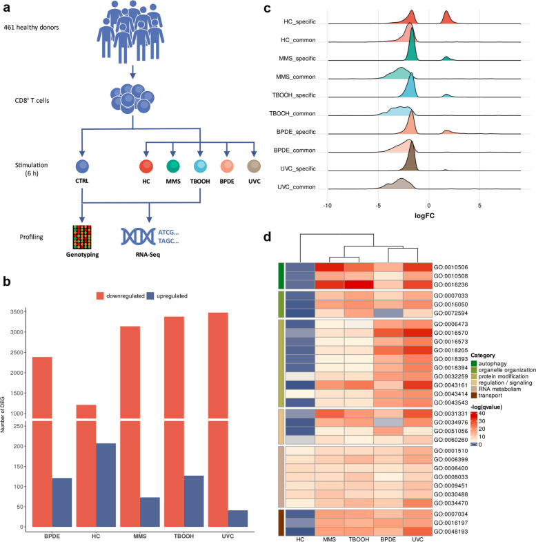 Expression Quantitative Trait Loci Influence DNA Damage Induced Apoptosis In Cancer PMC