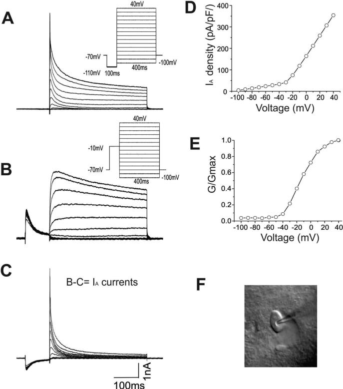 Figure-1