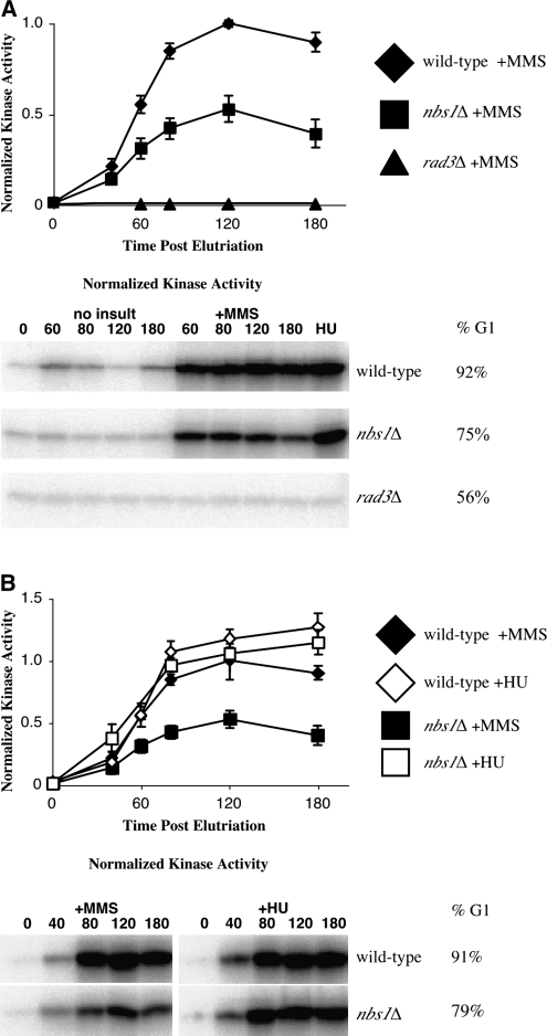 Figure 2.—