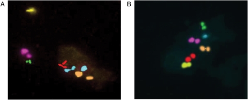 Figure 1