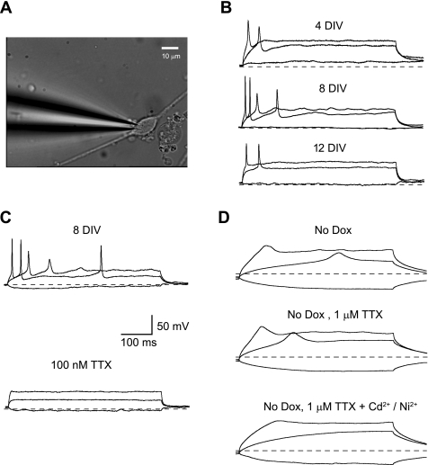 Fig. 1.