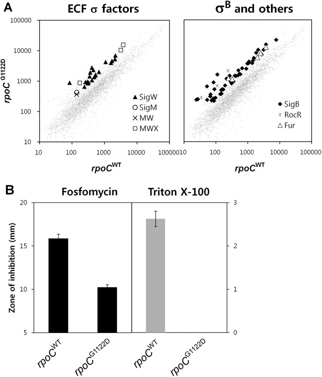 Fig 5