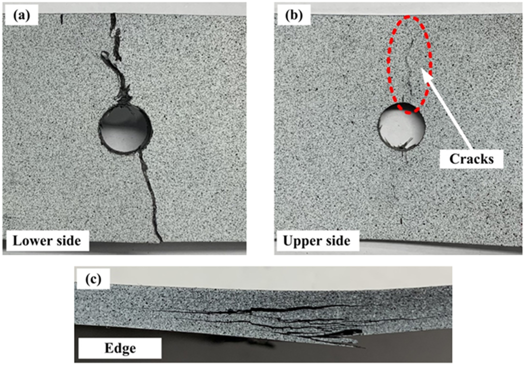 Fig. 7.