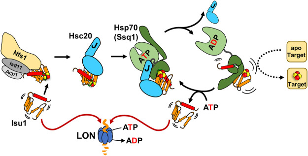 FIGURE 3