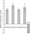 FIG. 1.