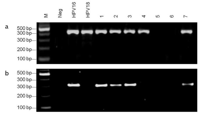 Figure 1. a, b