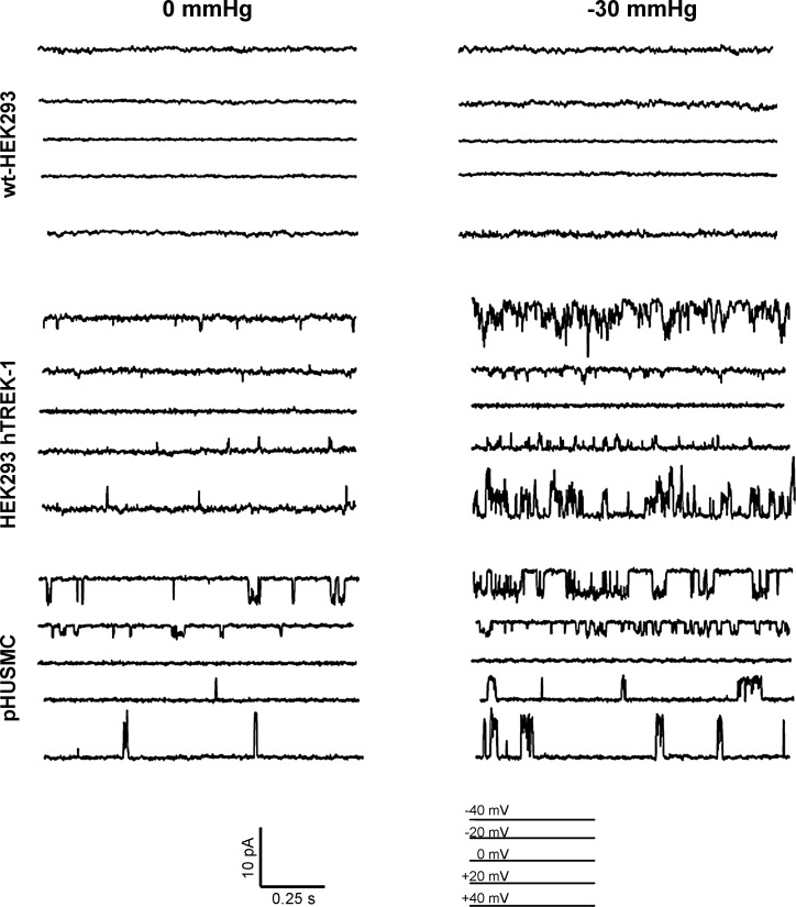 Fig. 8.